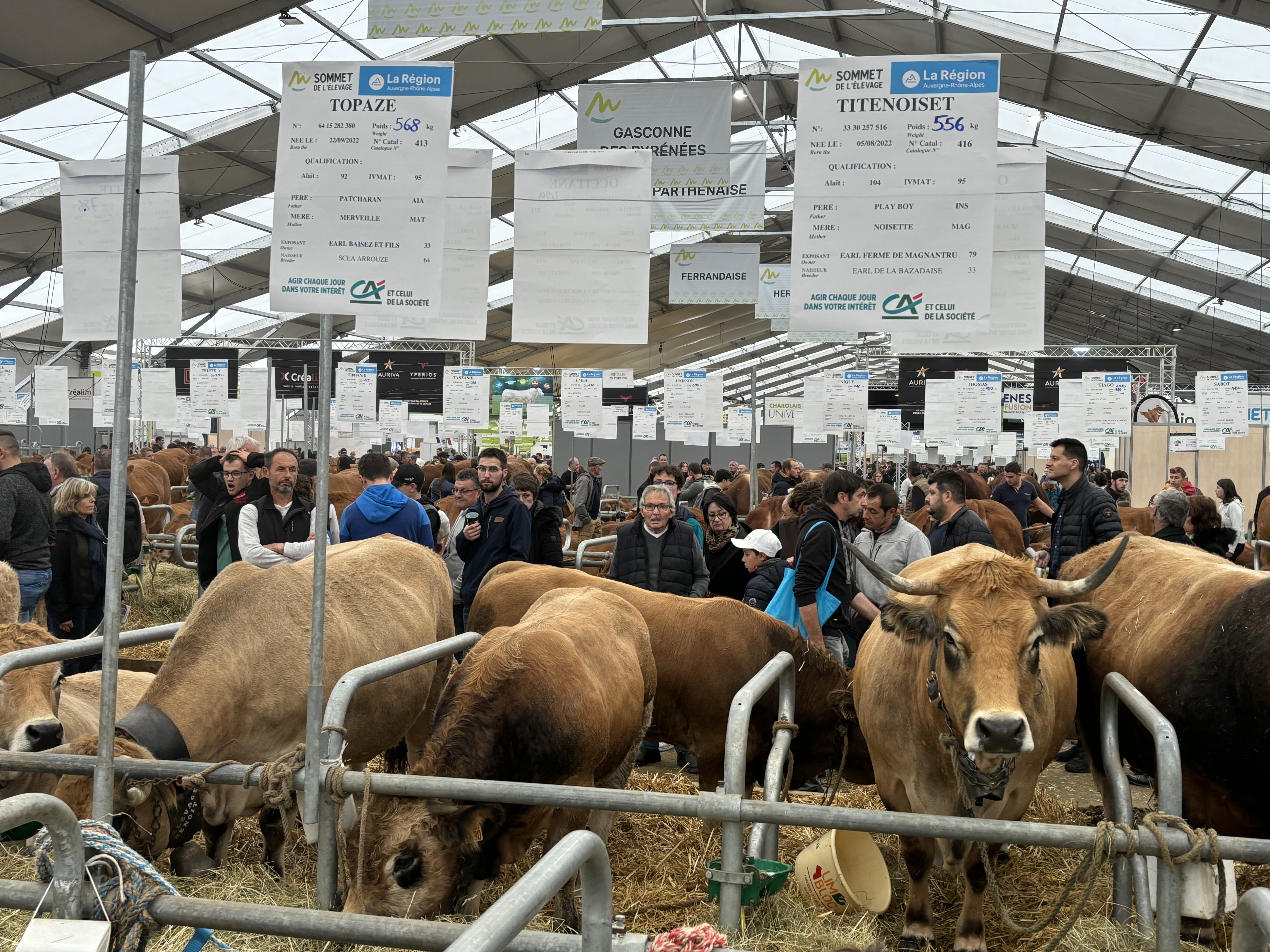 Le public était présent en masse hier au Sommet