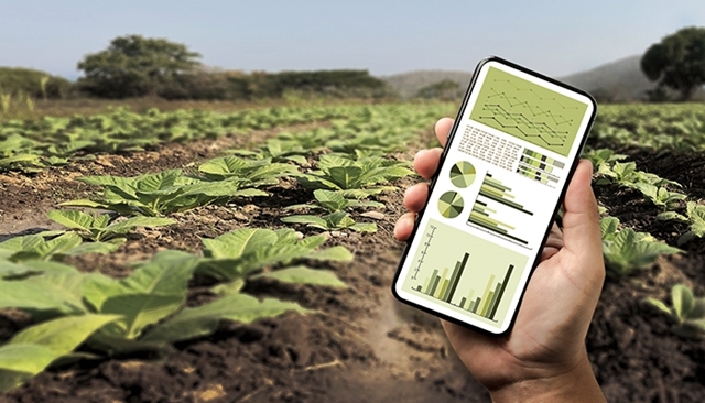 L'IA en agriculture