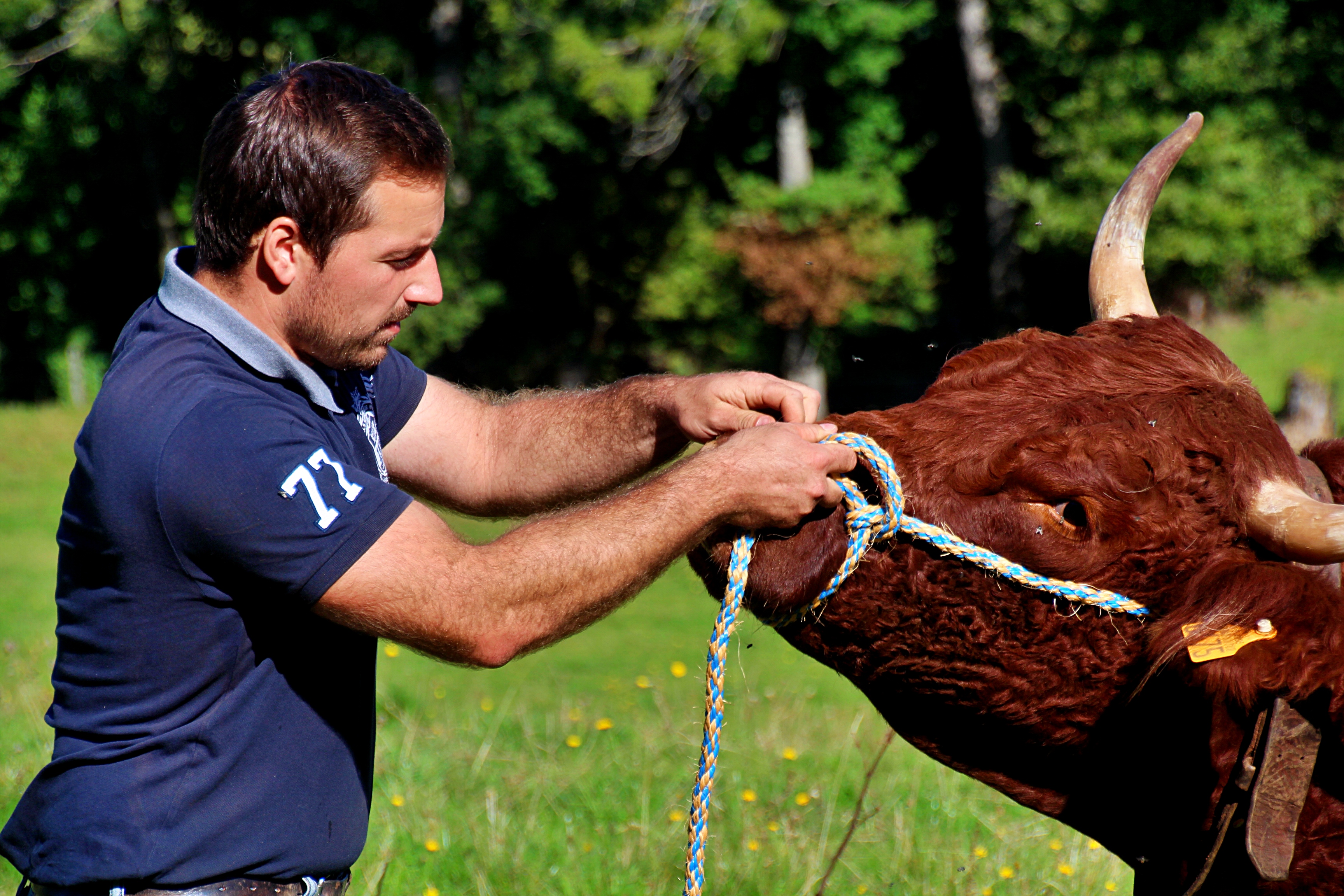 Geoffrey Chaumeil est éleveur à Menet dans le Cantal.
