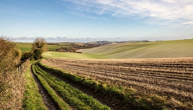 Terre agricole