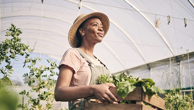 Des rôles diversifiés et en expansion