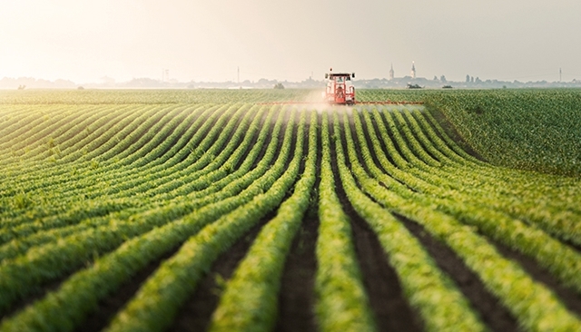 Les différents enjeux de l'eau en agriculture