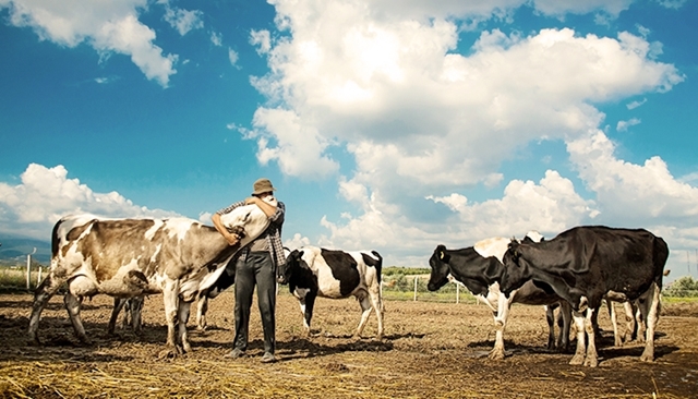 Agroécologie