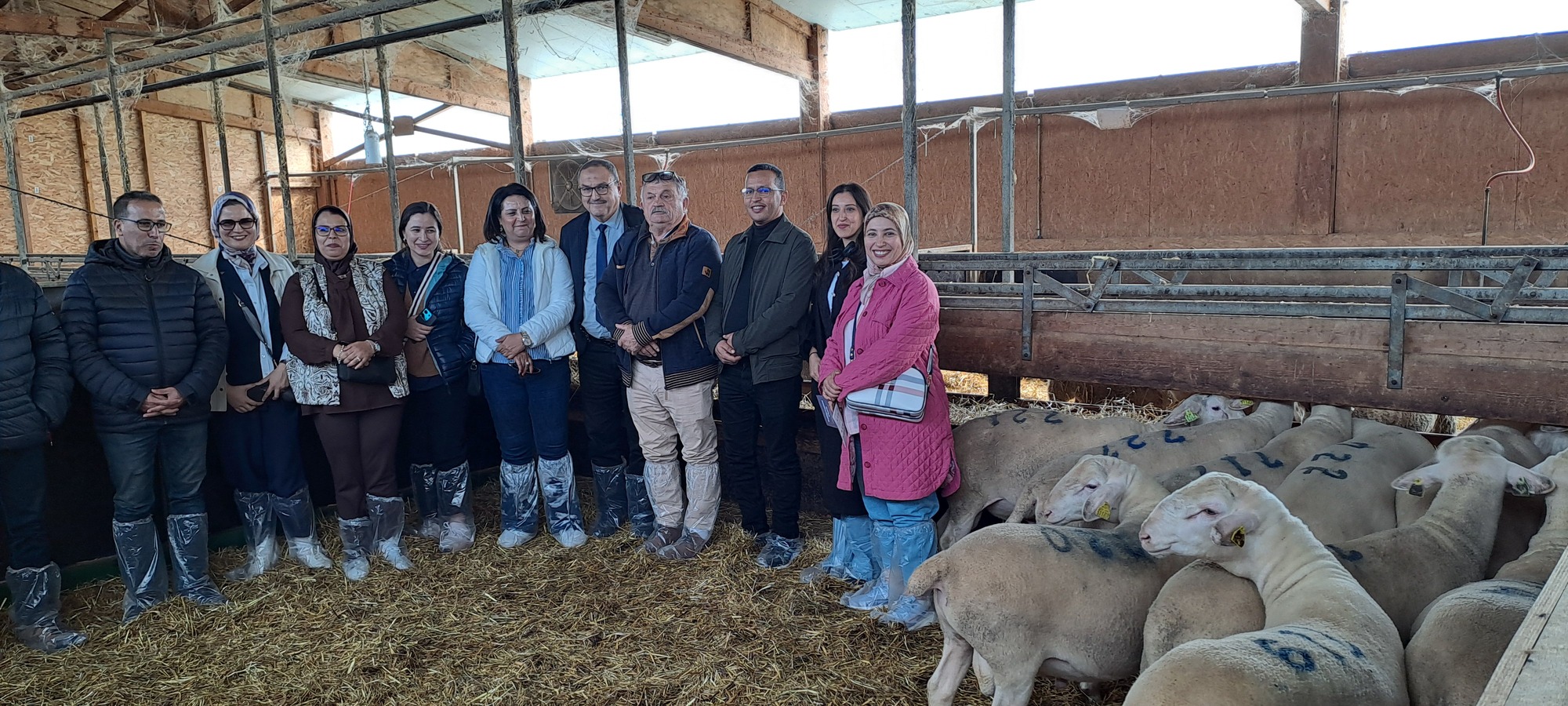 Visite du site de Fedatest en Haute-Loire des éleveurs marocains.