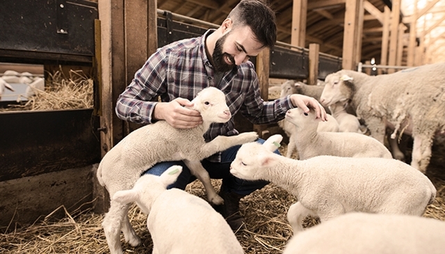 Agriculteur