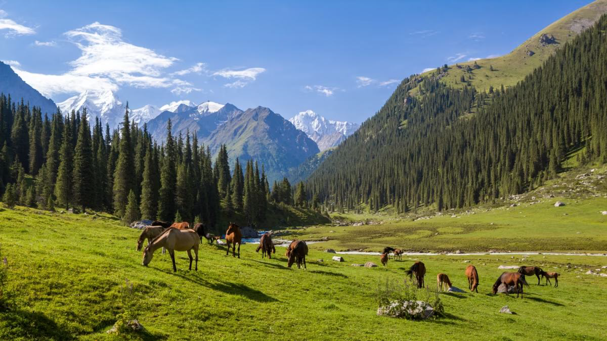 Le Kazakhstan est le pays à l'honneur de l'édition 2024 du Sommet de l'Elevage.