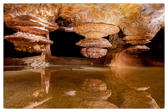 Réplique de la grotte Cosquer - Visite culturelle