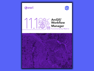 Matrice de fonctionnalités ArcGIS Workflow Manager