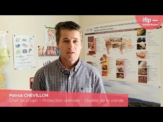 Formation IFIP : tout connaitre sur la viande de porc  (6 avril 2023)