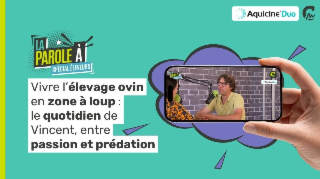 La Parole à spécial éleveurs | Le quotidien de Vincent, entre passion et prédation 🐺🐑 