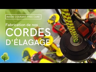 INSIDE Courant Tree Care - Cordes de Grimpe et de rétention - Leur Fabrication