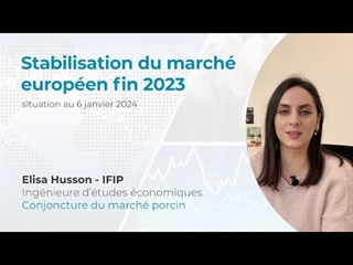 Stabilisation du marché européen du porc fin 2023 (situation 06/01/24)