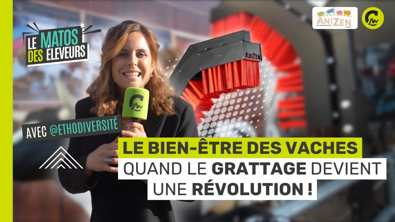 Le Matos des Éleveurs | La brosse magique d'Actisweep : quand le grattage devient une révolution 🐄✨
