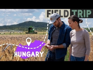 Variétés anciennes de céréales : l'essai sans pesticides en Hongrie