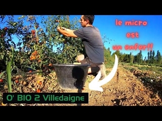 Ce micro gâche toutes les videos!!! on continue les ramasses malgré tout