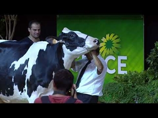 Concours Prim'Holstein Atlantique – Grande Championne SPACE
