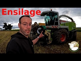 Ensilage, ce n'est pas juste un mauvais rêve. N°221