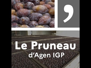 Un produit, un territoire : Le pruneau d'Agen IGP