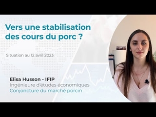 Vers une stabilisation des cours du porc ? (situation au 12/04/23)