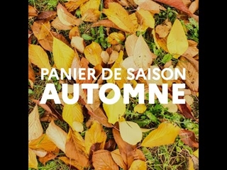 Panier de saison automne 2023