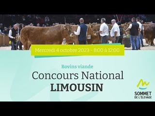 Sommet de l'élevage 2023 - Concours National LIMOUSIN 04/10/2023
