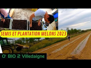 Plantation MELONS et Semis avec les godets FERTIL biodégradables. tout ça dans la même vidéo