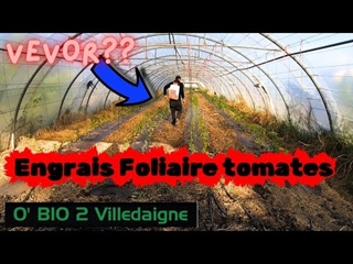 Passage de foliaire dans la serre avec un nouvel outil #vevor