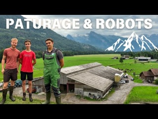 Pâturage & Robots en Haute Montagne 🏔️