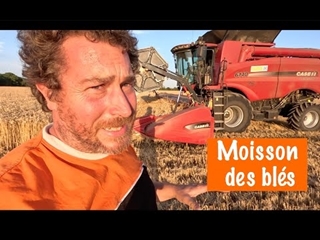 moisson des blés 2023 : premier jour, premiers résultats !