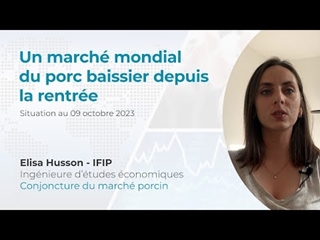 Un marché mondial du porc baissier depuis la rentrée (09/10/23)