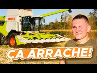 LA LEXION AU MAÏS !