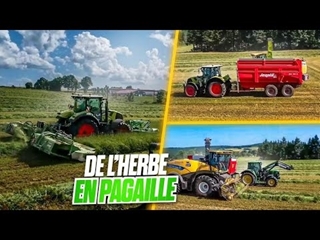 De l'herbe en pagaille ! Beaucoup d'explication !