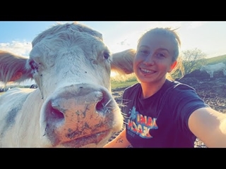 Je rentre Noémie, Perrine et Nova pour les vaccinée avant vêlage ! Océane Agricultrice