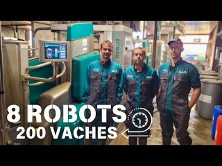 8 Robots / 200 Vaches / New Batch Milking GEA France