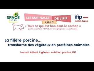 La filière porcine transforme des végétaux en protéines animales