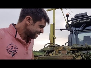 Oh que ça va vite dans les vignes 🍇💪