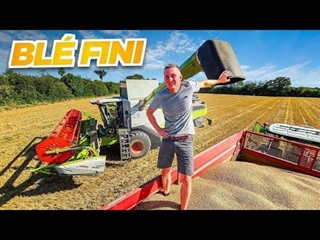 MOISSONS DE BLÉ TERMINÉE ! (1 mois dans ma peau 9/31)