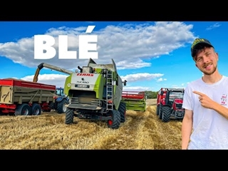 MOISSON DES BLÉS 2023 et PAILLE avec le MASSEY 6S !