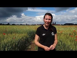 Visite des essais Bio à Carvin dans le Nord-Pas-de-Calais