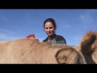 Présentation Etho-Diversité : Agricultrice & Comportementaliste animalier