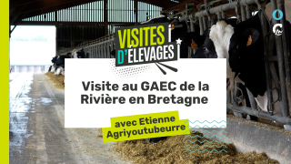 Visites d’élevages - Etienne AgriYoutubeurre vous emmène au GAEC de la Rivière en Bretagne