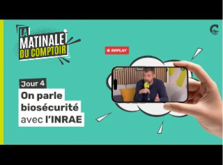 Matinale du Comptoir | JOUR 4 | Sommet de l'Elevage 2025