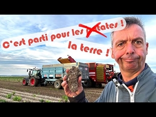 Début des arrachages de motte de terre ou de patates 🥔