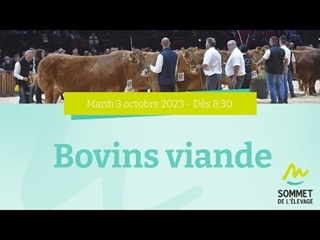 Sommet de l'élevage 2023 - Bovins viande - 03/10/2023