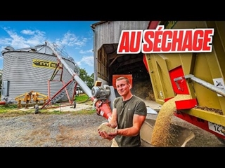 EN BALADE ET TRANSFERT DU BLÉ (1 mois dans ma peau 3/31)