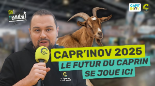 On t’emmène à Capr'inov 2025 l La filière caprine en pleine effervescence ! 🐐