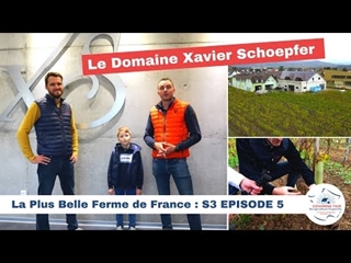 Le Domaine Xavier Schoepfer 🇫🇷 LA PLUS BELLE FERME DE FRANCE