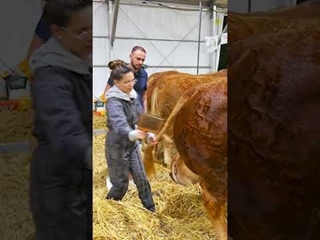 Une journée dans la peau de Manon 🐮