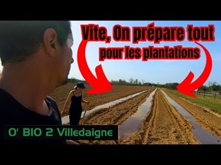 On prépare toutes les plantations en meme temps! il est déjà temps de remettre ca!