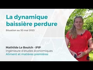 Marchés des matières premières de l'aliment porc : une dynamique baissière qui perdure (au 30/05)